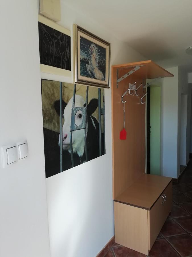 Apartma Pr' Vok Lesce (Upper Carniola) Exterior foto